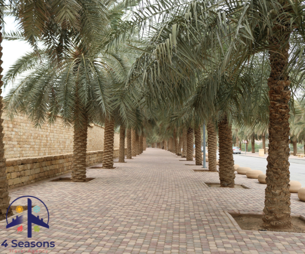 شهر العسل في السعودية