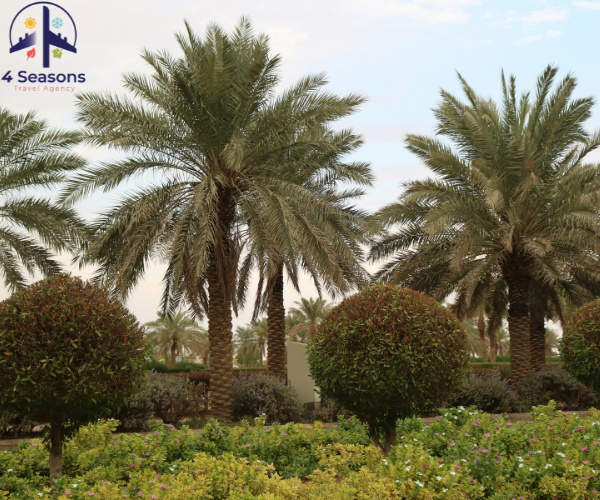 برنامج سياحي السعودية شهر عسل